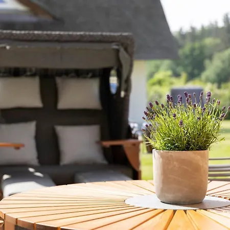 Lütt Lenneke - Mit Kamin Für 6 Personen * Pepelow